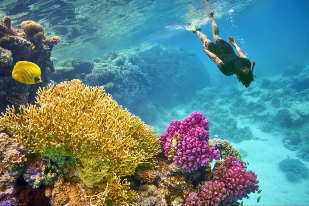 🏖️🌊 Sharm El Luli & El Qulaan Tour – Marsa Alam 🐠🌴 Sharm EL Luli /IMG-20260703-WA0011.jpg